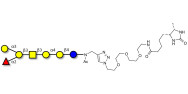 Globo-B heptaose linked to desthiobiotin (Linker-DBT-A)