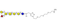 Globo-B heptaose grafted on gel for affinity chromatography (Linker-GEL A)