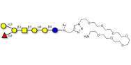 Globo-B heptaose with free terminal amine (Linker-NH2 C)