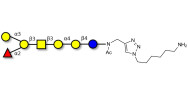 Globo-B heptaose with free terminal amine (Linker-NH2 D)