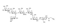 Globo-B heptaose with terminal alkyne (Linker-CΞCH A)