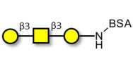 Core type 4 (Gb5 triose core structure) grafted on BSA