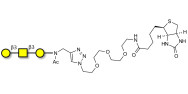 Core type 4 (Gb5 triose core structure) linked to biotin (Linker-BT A)