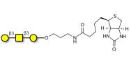 Core type 4 (Gb5 triose core structure) linked to biotin (Linker-BT B)