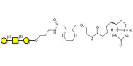 Core type 4 (Gb5 triose core structure) linked to biotin (Linker-BT C)