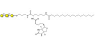 Core type 4 (Gb5 triose core structure) linked to biotin and stearic chain (Linker-BT-STEA A)