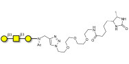 Core type 4 (Gb5 triose core structure) linked to desthiobiotin (Linker-DBT-A)
