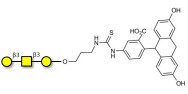 Core type 4 (Gb5 triose core structure) linked to fluorescein (Linker-FLUO A)