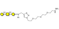 Core type 4 (Gb5 triose core structure) grafted on gel for affinity chromatography (Linker-GEL A)