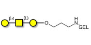 Core type 4 (Gb5 triose core structure) grafted on gel for affinity chromatography (Linker-GEL B)