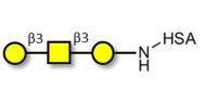 Core type 4 (Gb5 triose core structure) grafted on HSA