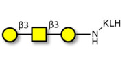 Core type 4 (Gb5 triose core structure) grafted on KLH