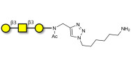 Core type 4 (Gb5 triose core structure) with free terminal amine (Linker-NH2 D)