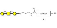 Core type 4 (Gb5 triose core structure) with customizable dual functionalization 