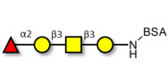 Blood group H antigen tetraose type 4 grafted on BSA