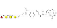 Blood group H antigen tetraose type 4 linked to biotin (Linker-BT C)