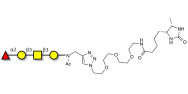 Blood group H antigen tetraose type 4 linked to desthiobiotin (Linker-DBT-A)