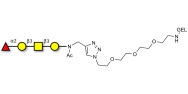 Blood group H antigen tetraose type 4 grafted on gel for affinity chromatography (Linker-GEL A)