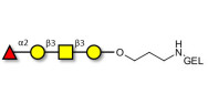 Blood group H antigen tetraose type 4 grafted on gel for affinity chromatography (Linker-GEL B)