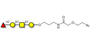 Blood group H antigen tetraose type 4 with terminal azide (Linker-N3 B)