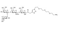 Blood group H antigen tetraose type 4 with free terminal amine (Linker-NH2 B)