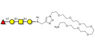 Blood group H antigen tetraose type 4 with free terminal amine (Linker-NH2 C)