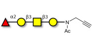 Blood group H antigen tetraose type 4 with terminal alkyne (Linker-CΞCH A)