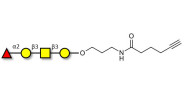 Blood group H antigen tetraose type 4 with terminal alkyne (Linker-CΞCH C)