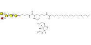Blood group A antigen pentaose type 4 linked to biotin and stearic chain (Linker-BT-STEA A)