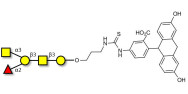 Blood group A antigen pentaose type 4 linked to fluorescein (Linker-FLUO A)