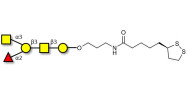 Blood group A antigen pentaose type 4 with cyclic di-thiol (Linker-LIPO A)