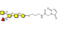 Blood group A antigen pentaose type 4 linked to maleimide (Linker-MAL A)