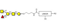 Blood group A antigen pentaose type 4 with customizable dual functionalization 