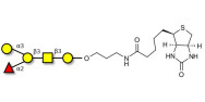 Blood group B antigen pentaose type 4 linked to biotin (Linker-BT B)