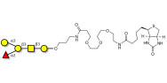 Blood group B antigen pentaose type 4 linked to biotin (Linker-BT C)