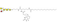 Blood group B antigen pentaose type 4 linked to biotin and stearic chain (Linker-BT-STEA A)