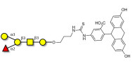 Blood group B antigen pentaose type 4 linked to fluorescein (Linker-FLUO A)