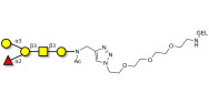 Blood group B antigen pentaose type 4 grafted on gel for affinity chromatography (Linker-GEL A)
