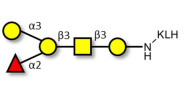 Blood group B antigen pentaose type 4 grafted on KLH