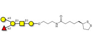 Blood group B antigen pentaose type 4 with cyclic di-thiol (Linker-LIPO A)