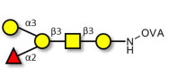 Blood group B antigen pentaose type 4 grafted on OVA