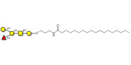 Blood group B antigen pentaose type 4 with stearic chain (Linker-STEA A)