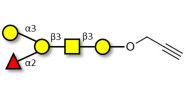 Blood group B antigen pentaose type 4 with terminal alkyne (Linker-CΞCH B)