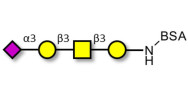 Stage-Specific Embryonic Antigen-4 tetraose (SSEA-4 tetraose) grafted on BSA