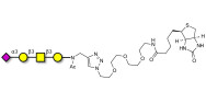 Stage-Specific Embryonic Antigen-4 tetraose (SSEA-4 tetraose) linked to biotin (Linker-BT A)