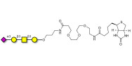 Stage-Specific Embryonic Antigen-4 tetraose (SSEA-4 tetraose) linked to biotin (Linker-BT C)