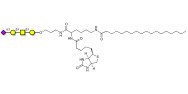 Stage-Specific Embryonic Antigen-4 tetraose (SSEA-4 tetraose) linked to biotin and stearic chain (Linker-BT-STEA A)