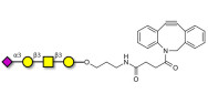 Stage-Specific Embryonic Antigen-4 tetraose (SSEA-4 tetraose) with DBCO (Linker-DBCO A)