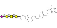 Stage-Specific Embryonic Antigen-4 tetraose (SSEA-4 tetraose) linked to desthiobiotin (Linker-DBT-A)