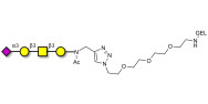 Stage-Specific Embryonic Antigen-4 tetraose (SSEA-4 tetraose) grafted on gel for affinity chromatography (Linker-GEL A)